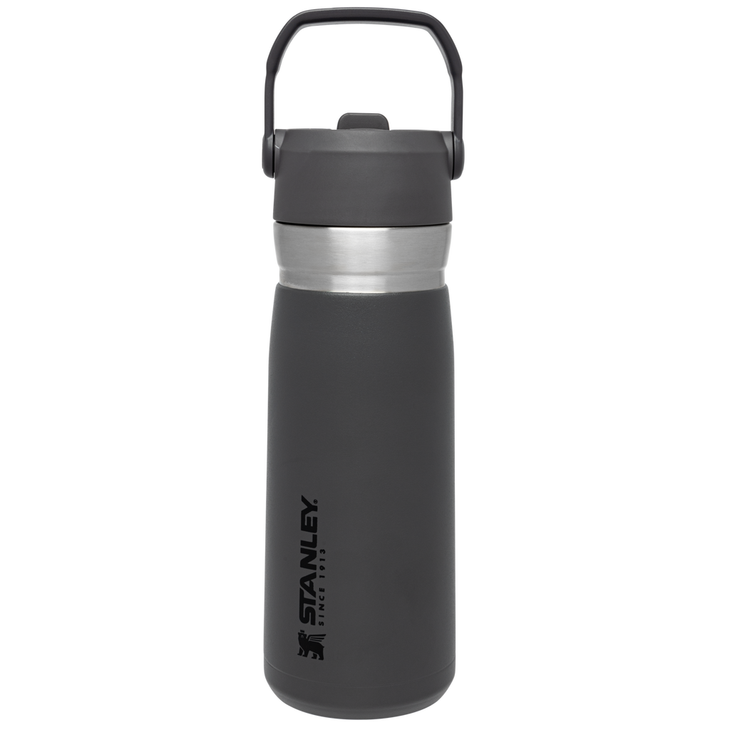The Go Flip Straw Water Bottle | 22 OZ
