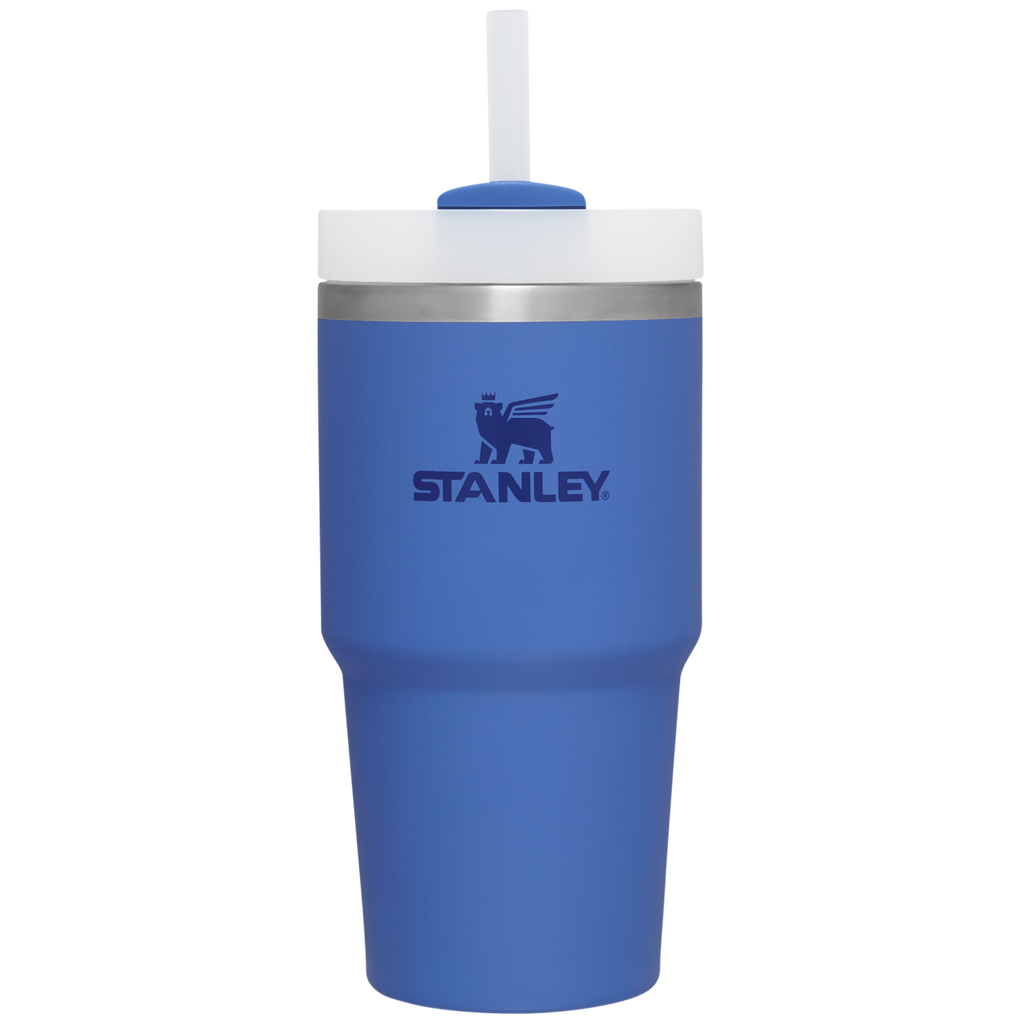 The Quencher H2.0 FlowState? Tumbler | 20 OZ - Stanley Create