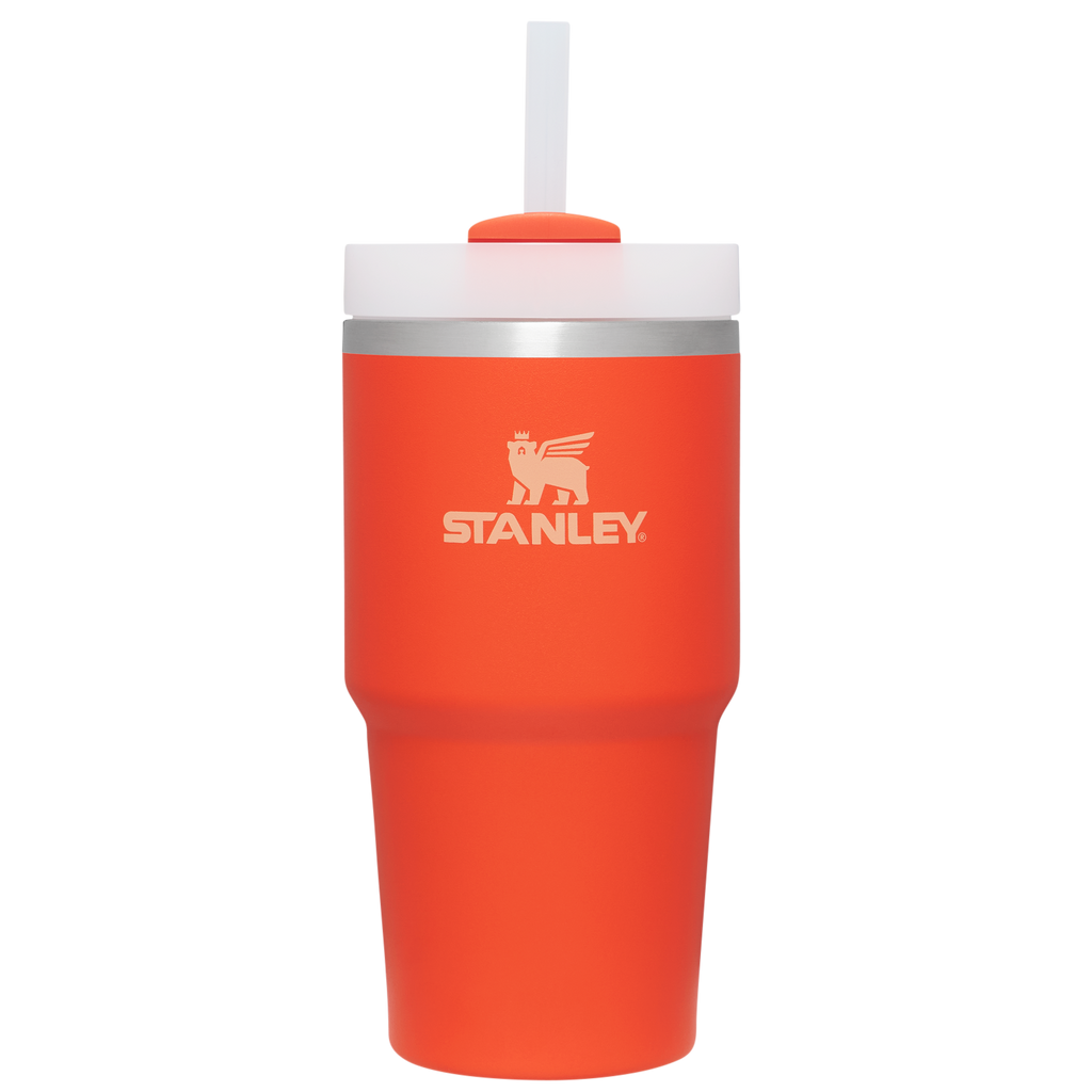 The Quencher H2.0 FlowState? Tumbler | 20 OZ - Stanley Create