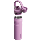 IceFlow™ Bottle with Fast Flow Lid | 24 OZ