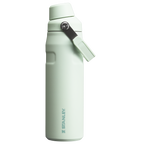 IceFlow™ Bottle with Fast Flow Lid | 24 OZ