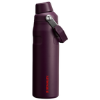 IceFlow™ Bottle with Fast Flow Lid | 24 OZ