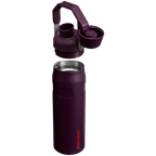 IceFlow™ Bottle with Fast Flow Lid | 24 OZ