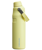 IceFlow™ Bottle with Fast Flow Lid | 24 OZ