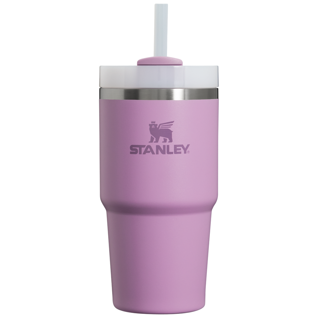 The Quencher H2.0 FlowState? Tumbler | 20 OZ - Stanley Create