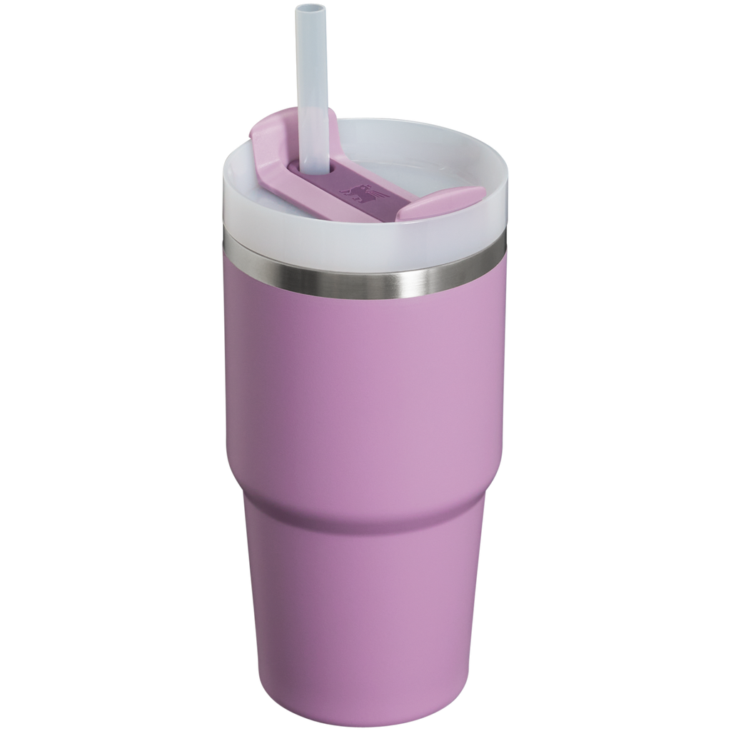 The Quencher H2.0 FlowState? Tumbler | 20 OZ - Stanley Create