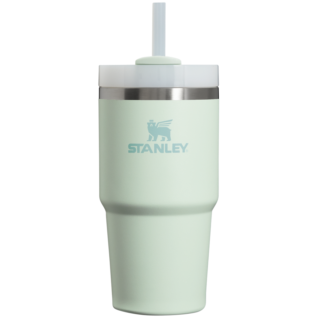 The Quencher H2.0 FlowState? Tumbler | 20 OZ - Stanley Create