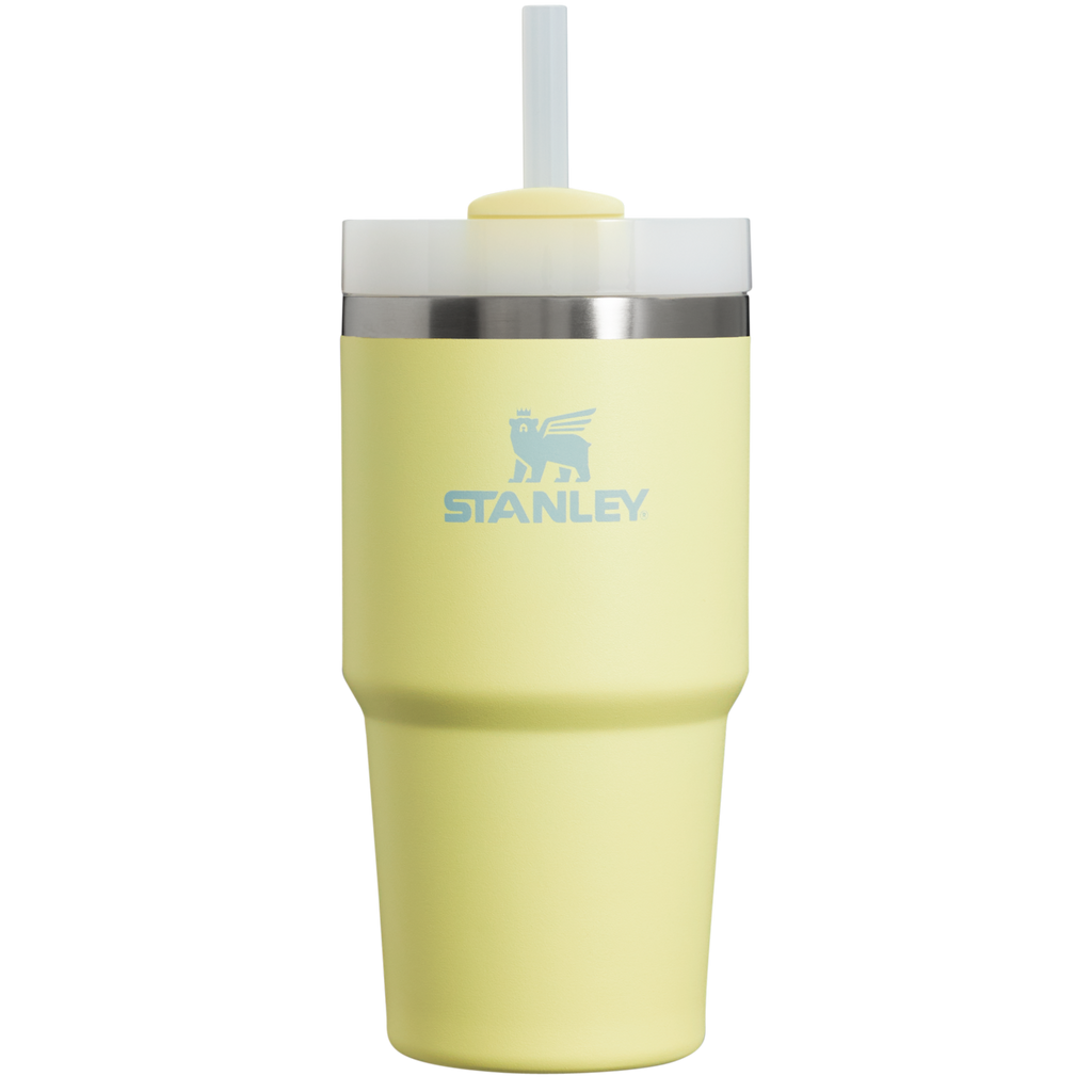 The Quencher H2.0 FlowState? Tumbler | 20 OZ - Stanley Create