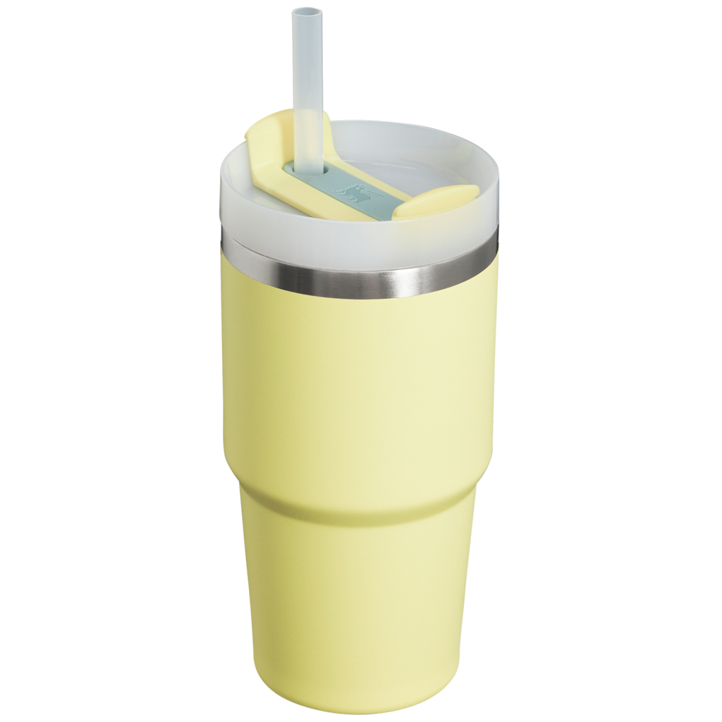 The Quencher H2.0 FlowState? Tumbler | 20 OZ - Stanley Create
