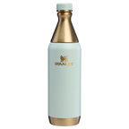 All Day Slim Bottle | 20 OZ