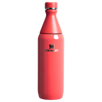 All Day Slim Bottle | 20 OZ