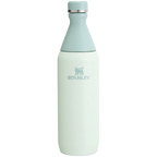 All Day Slim Bottle | 20 OZ