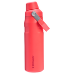 IceFlow™ Bottle with Fast Flow Lid | 24 OZ