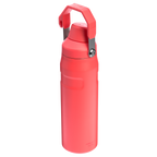 IceFlow™ Bottle with Fast Flow Lid | 24 OZ