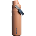 IceFlow™ Bottle with Fast Flow Lid | 24 OZ
