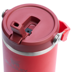 The IceFlow™ Flip Straw Tumbler | 30 OZ - Stanley Create