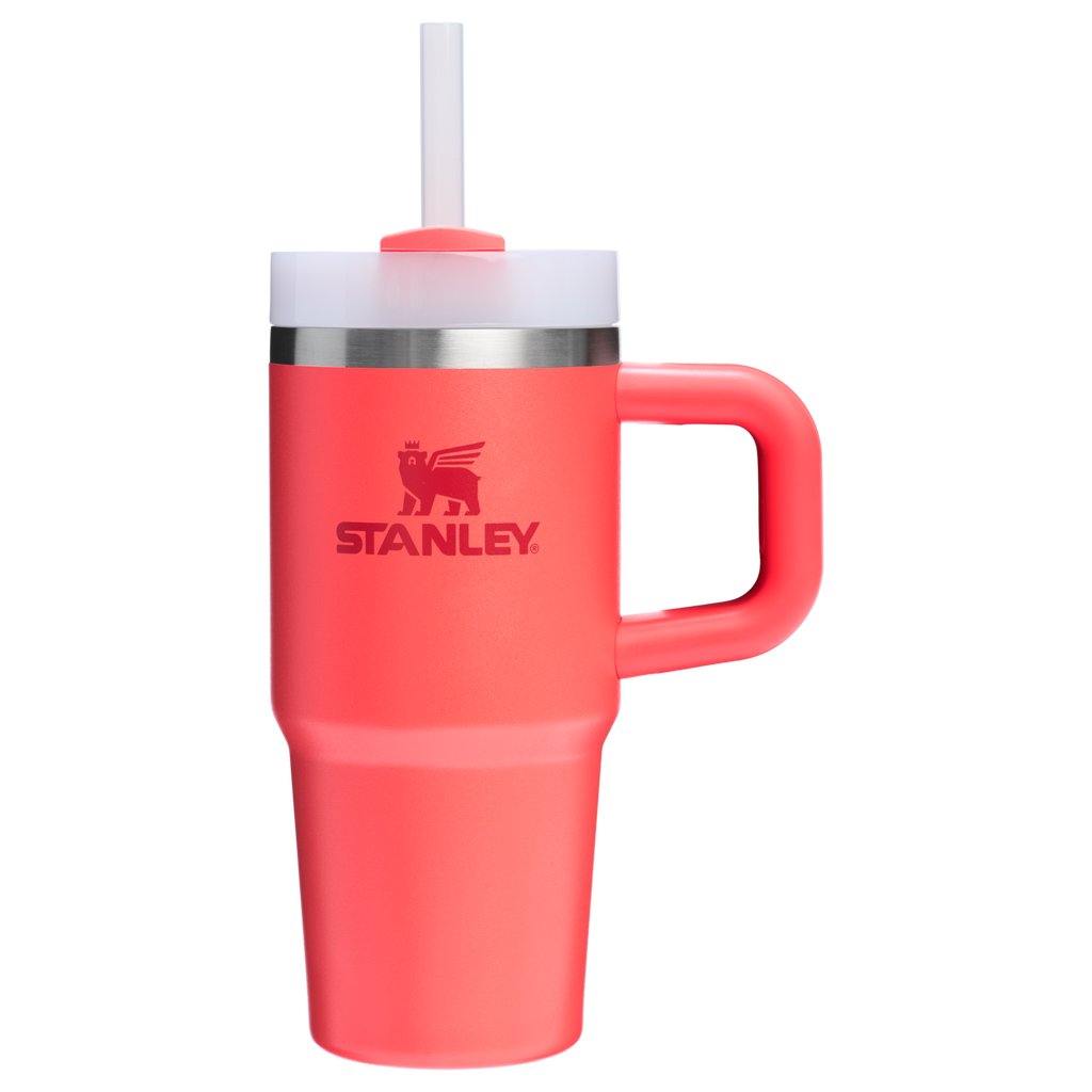The Quencher H2.O FlowState? Tumbler | 14 OZ