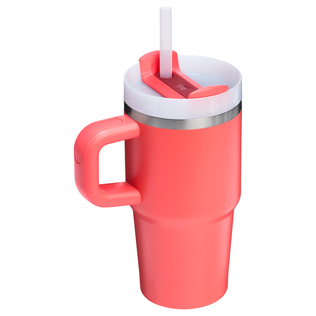 The Quencher H2.O FlowState? Tumbler | 20 OZ