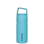 IceFlow™ Bottle with Cap and Carry+ Lid | 16 OZ