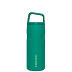IceFlow™ Bottle with Cap and Carry+ Lid | 16 OZ
