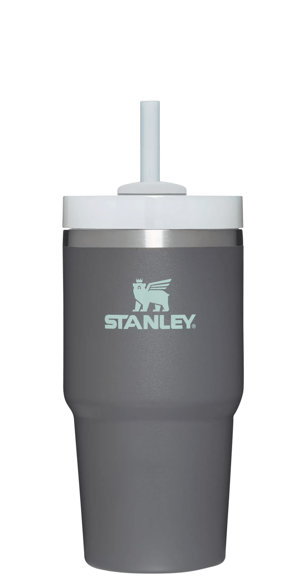 The Quencher H2.0 FlowState? Tumbler | 20 OZ - Stanley Create