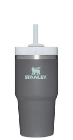 The Quencher H2.0 FlowState? Tumbler | 20 OZ - Stanley Create