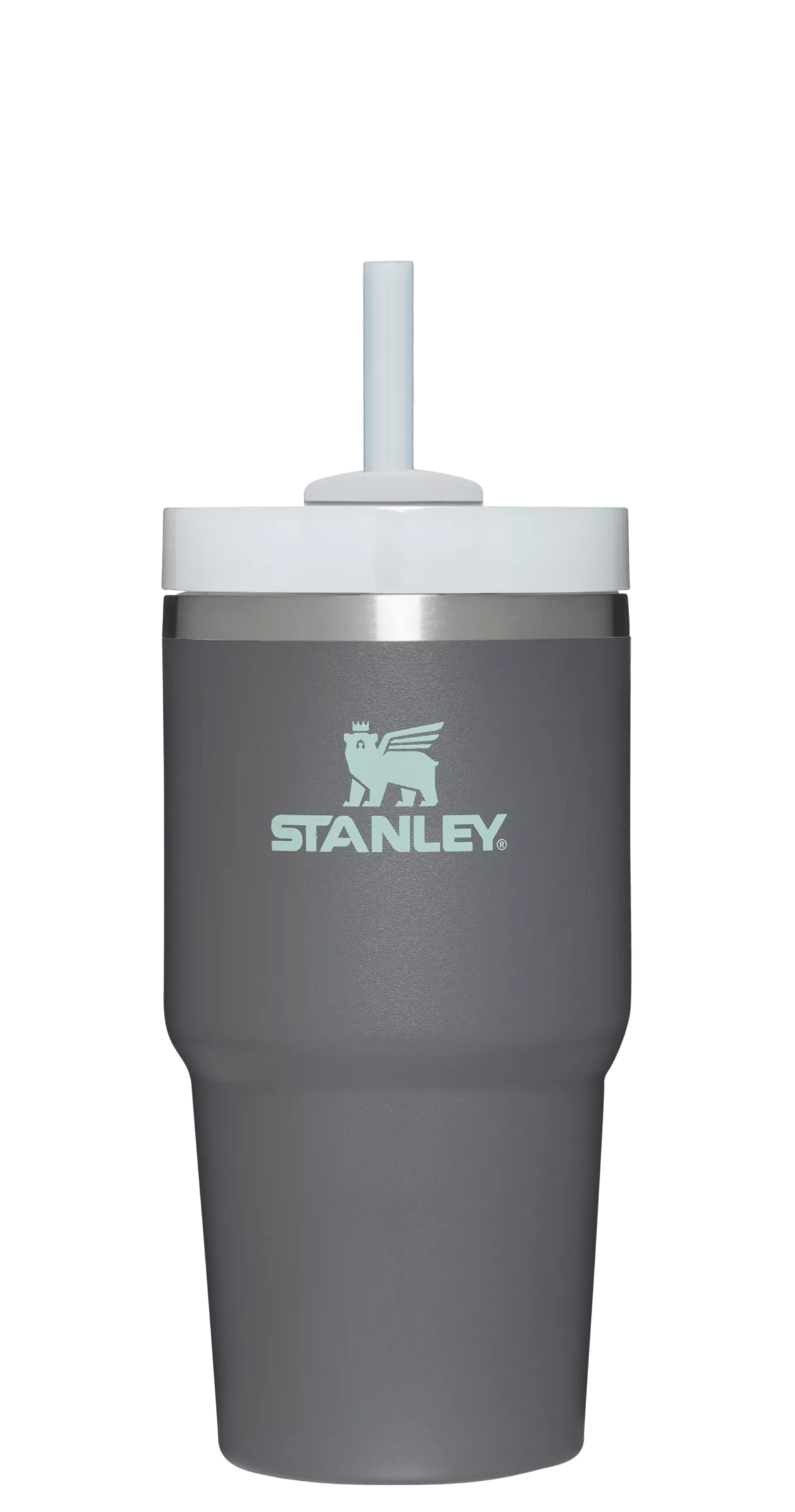 The Quencher H2.0 FlowState? Tumbler | 20 OZ - Stanley Create